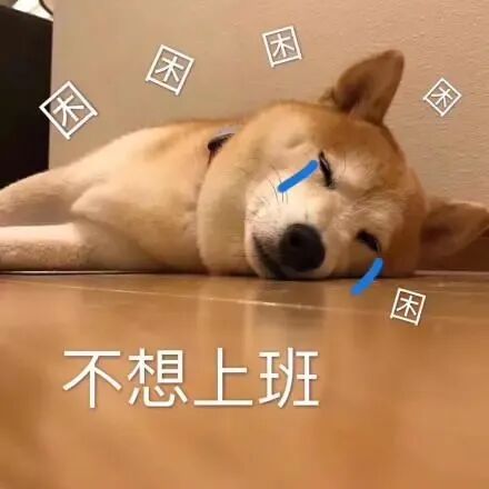 �������������������˯1Сʱ��