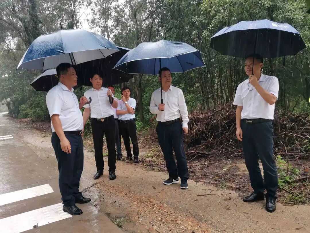 廉江市领导到石角镇调研交通安全整治工作