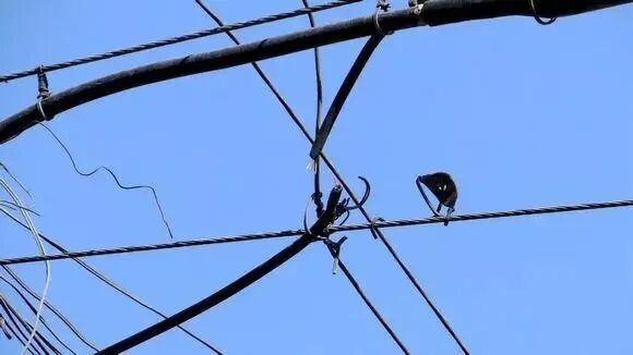 收藏！施工中不慎挖断光缆会有哪些后果以及如何处置？的图14