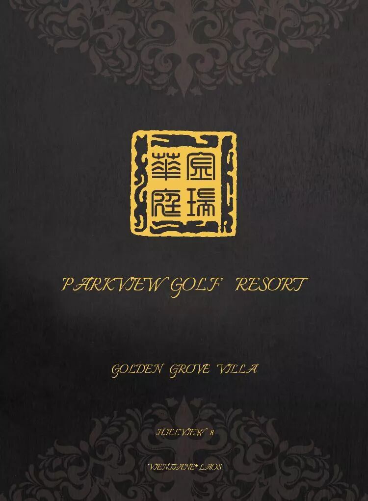 太疯狂了（2020年老挝新年时间）老挝国家历史，(图14)