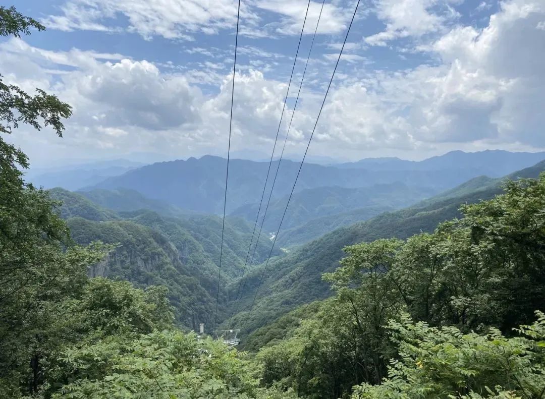 沿著總書記的足跡|從金米村到牛背梁 旅遊 第19張