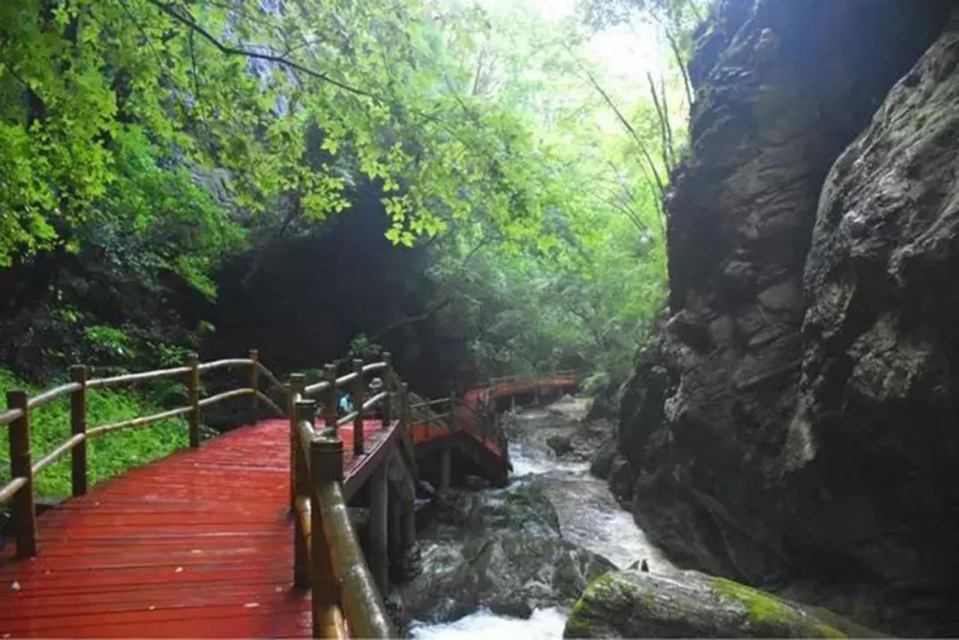 沿著總書記的足跡|從金米村到牛背梁 旅遊 第17張