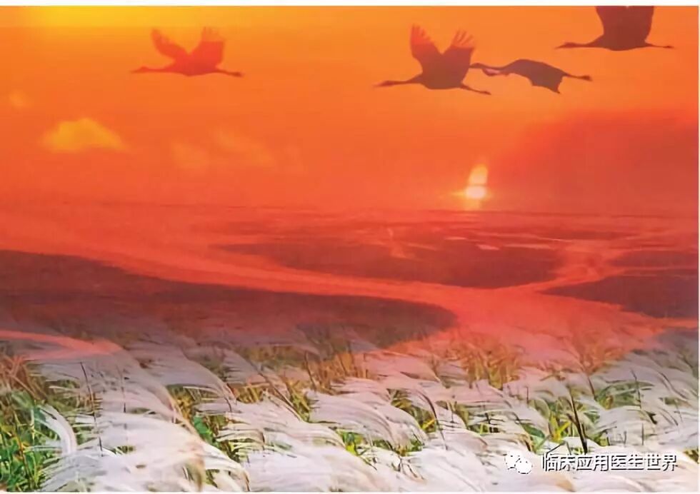 开立超声怎么导出图像273期：超声临床应用医生的银色记忆——盘点超声兵器谱_https://www.jmylbn.com_新闻资讯_第16张