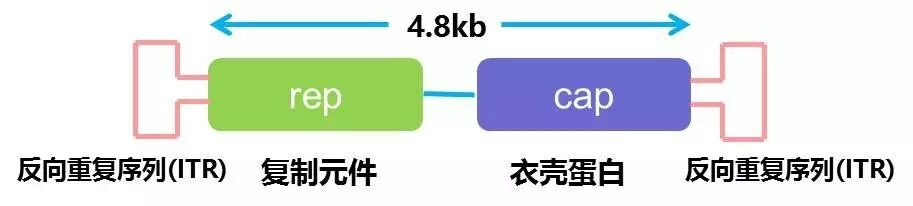 新闻图片2