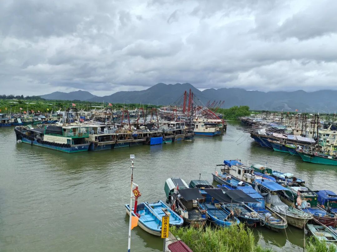 江门市组织渔船返回台山横山渔港避风