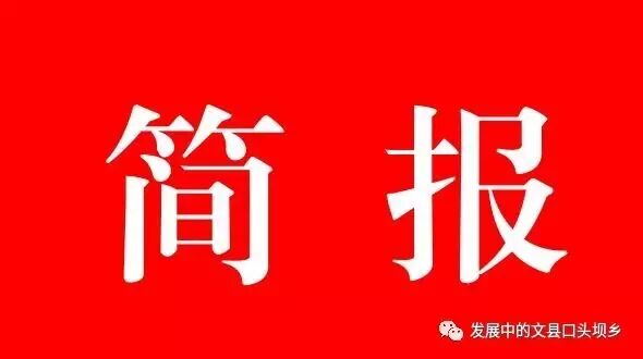 口头坝乡人口与计划生育集中清理清查工作简报(第三期)