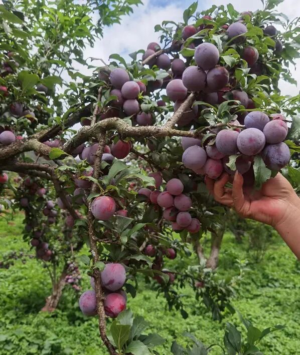 澳都团建 · 亲近自然，快乐工作