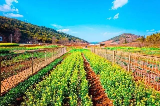 澳都团建 · 亲近自然，快乐工作