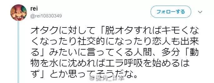 今日趣闻狮子狗变形 海豹形态 勾引路边野猫被其它猫制止等 视角日本 微信公众号文章阅读 Wemp