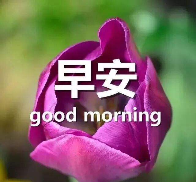 朋友圈早安问候语2018 - ★狂★野★的主页