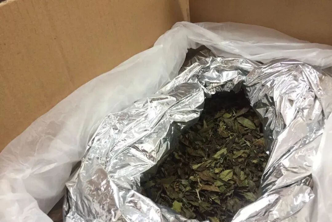 玉米种子贮藏特性和贮藏技术要点_葡萄保鲜贮藏论文_储藏贮藏