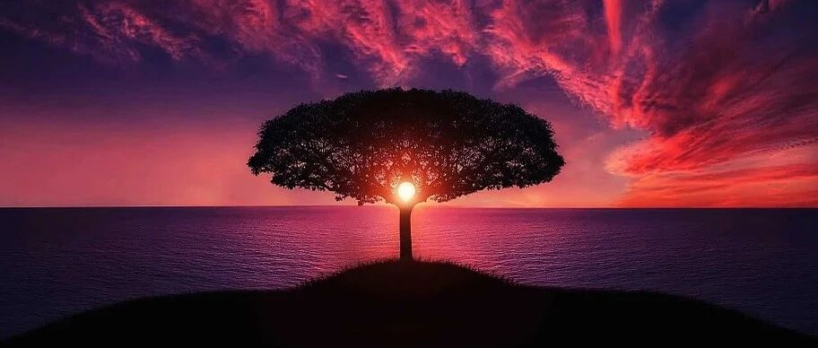 我国重症肌无力发病率首次发布及初始药物选择和维持期治疗情况研究