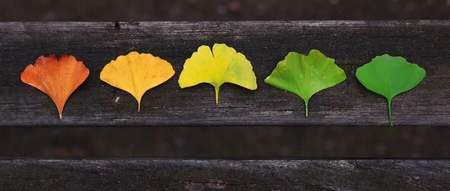 68岁男性，进行性意识障碍，原因为何？