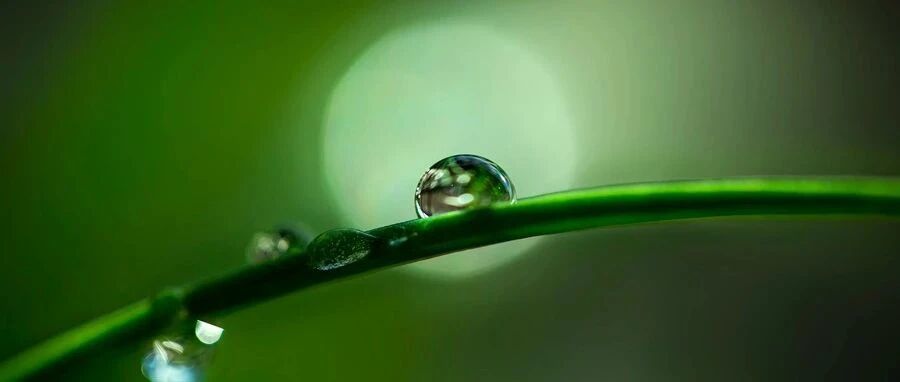 8月神经科指南和共识，一文收入囊中丨指南共识