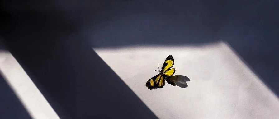 对于突发神经系统发作性症状的患者，MRI结果为阴性，你会怎么诊治？丨临床推理