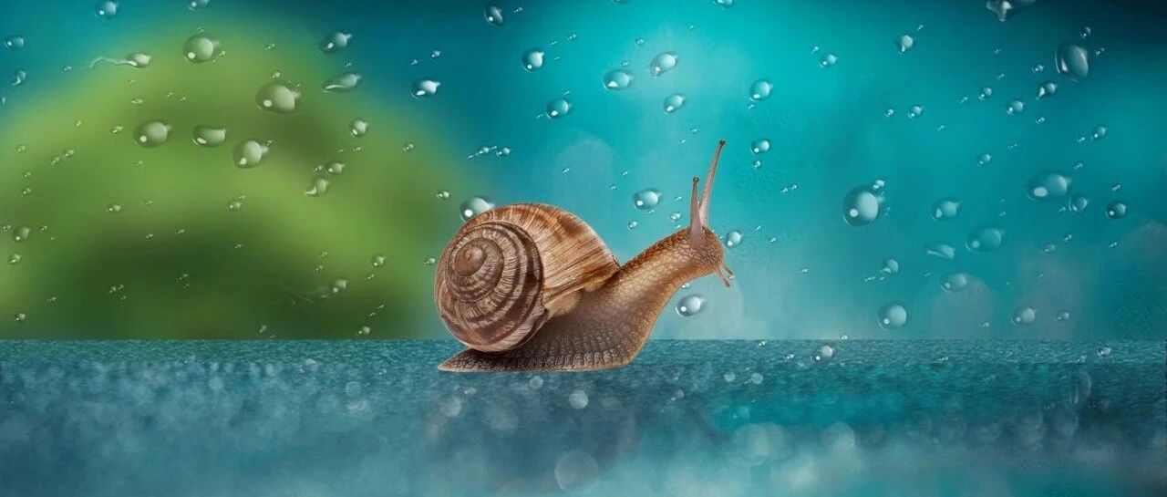 12部最新神经科指南和共识，一文收入囊中｜10月指南更新