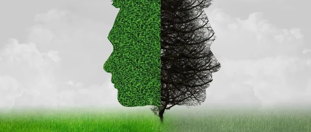 这次，医生是“凶手”……