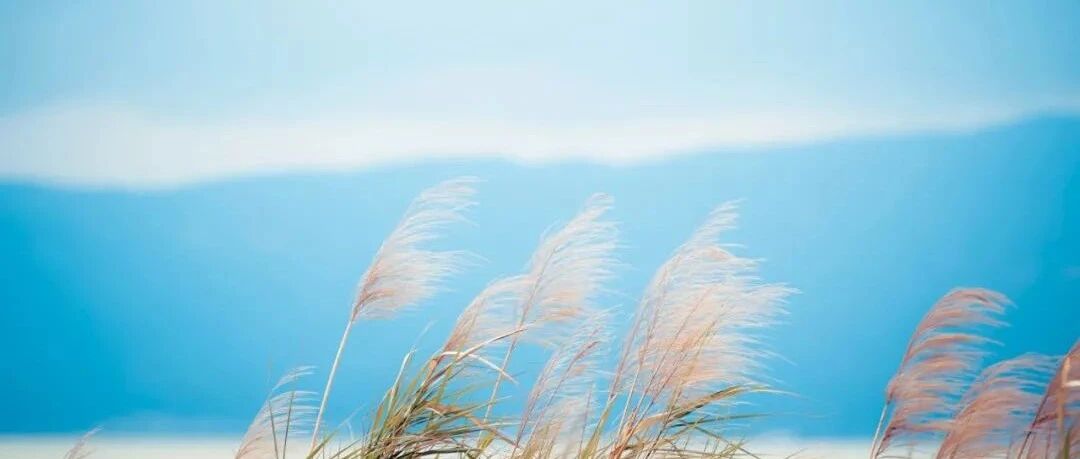 21岁男性，每天发作性意识改变，原因为何？丨临床推理