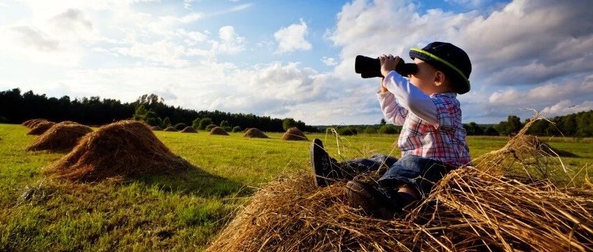 图文并茂谈Willis环：关于Willis环的那些事儿丨温故知新