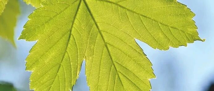 PPPD小课堂· 第3期丨一文掌握PPPD三大特殊表现