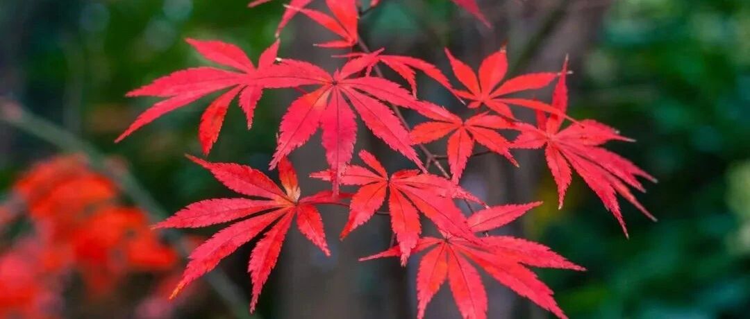 9月神经科指南和共识，一文收入囊中丨指南共识