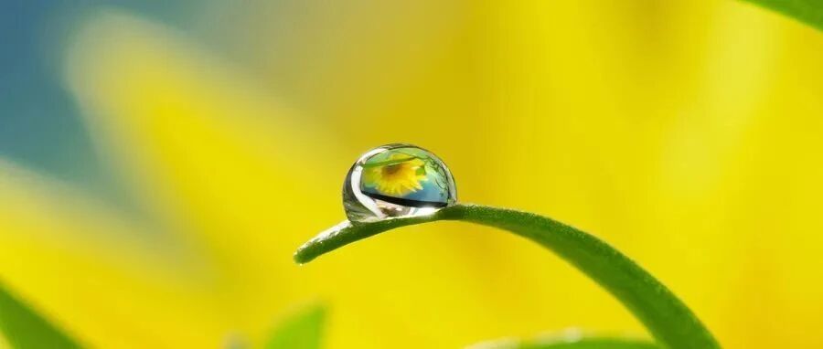 这个头痛病例一定会让你收获颇丰！