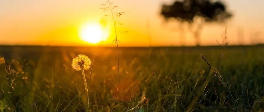 到底要不要做皮试？患者输注头孢后休克，抢救后成植物人，索赔760万天价赔偿！