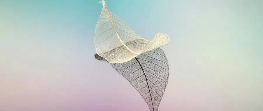 立体定向脑电图引导射频热凝毁损治疗药物难治性癫痫，来看专家共识推荐！