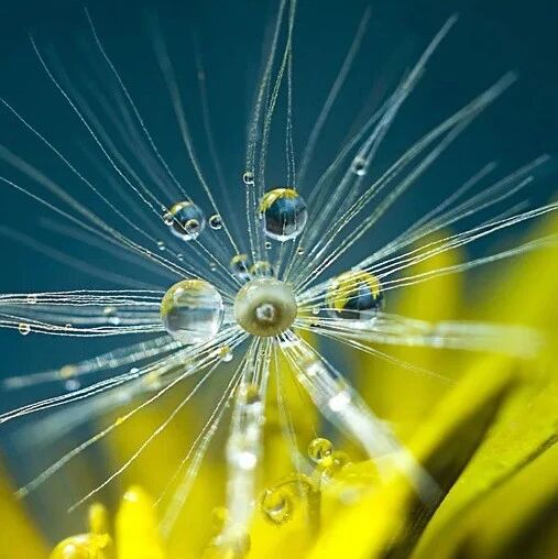 多发性硬化读片技巧：图表总结练就火眼金睛