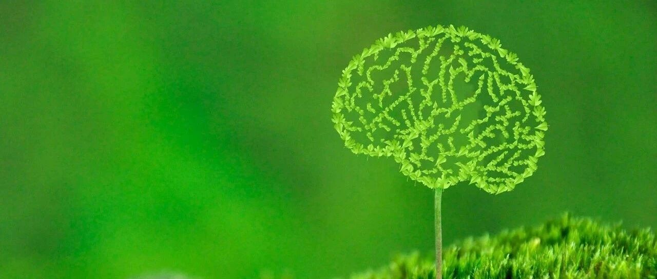 脑分水岭梗死：从分型到临床诊治，都在这里了丨温故知新