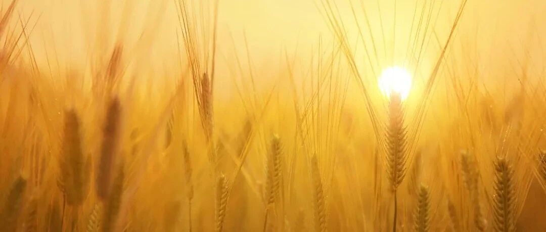 赔偿212万！患者治疗时突发心跳骤停，辗转多家医院后死亡，因一个原因，这家医院倒霉了！