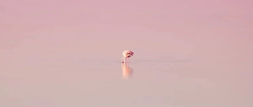 最熟悉的陌生人——「低钾」患者，肌酸激酶为什么这么高？丨“神”医大侦探