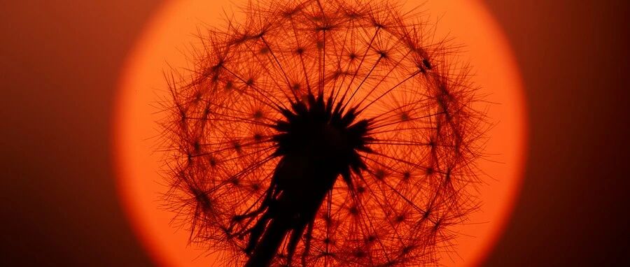 左脑出血却被开右颅，医院回复没有开错边！医疗规范拉响警报……