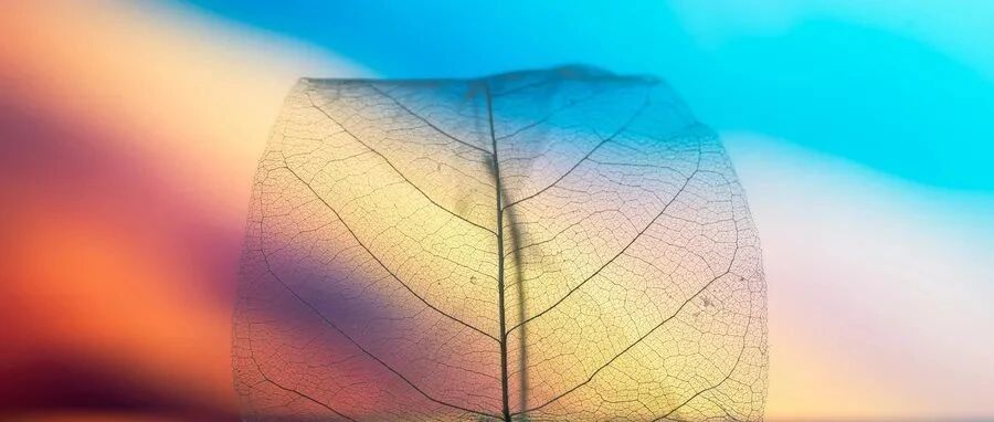 患者醉酒入院10小时后死亡，医方称其极不配合诊疗，却终因检查延误承担对等责任