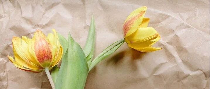 通过一个病例，聊聊急性缺血性卒中的诊治策略