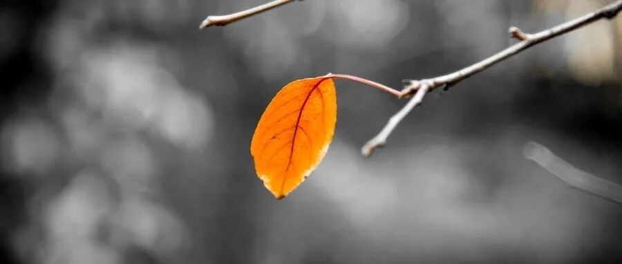 NMDAR脑炎与畸胎瘤——难兄难弟还是沆瀣一气？