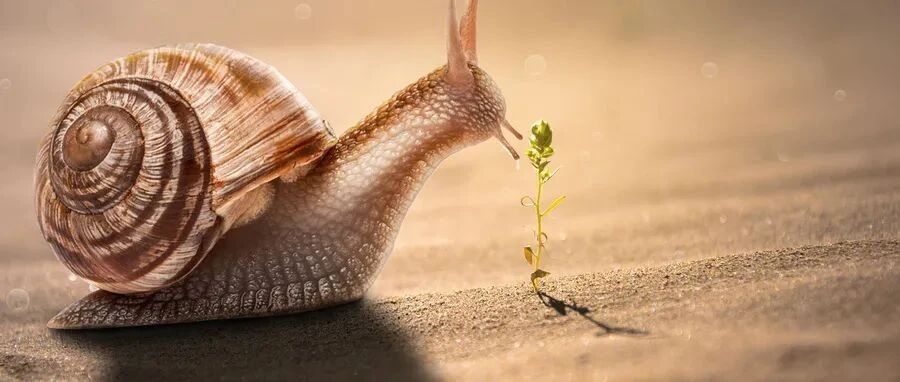 67岁女性出现进行性复视、眩晕和共济失调，原因为何？丨临床推理