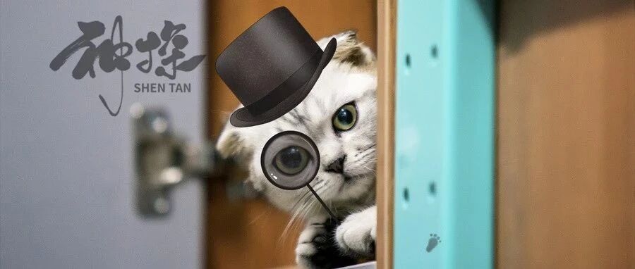 神经科的“雷”，你踩过多少？丨“神”医大侦探