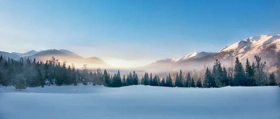 57岁男性出现进行性下肢轻瘫、感觉丧失，原因为何？丨临床推理