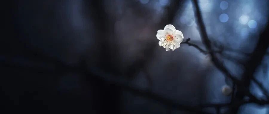 头痛+眼肌麻痹，还需要盯住这一“点”