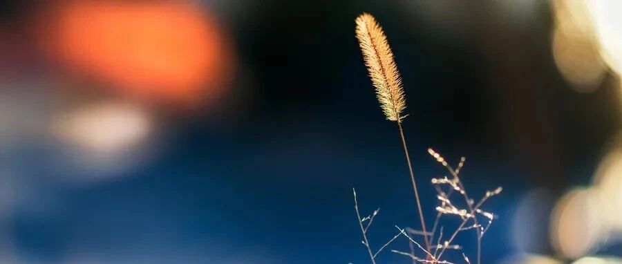 一文理清重频刺激那点事丨临床必备