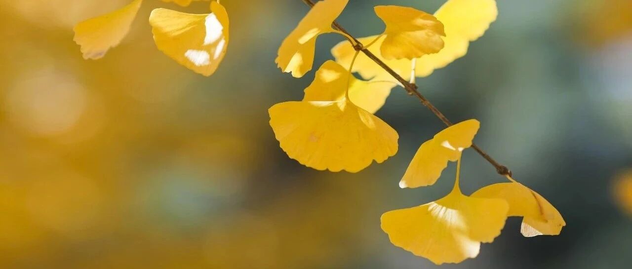 25岁患者妇科术后颅内出血致死，医院因观察不到位处理不及时担责！术后医生该如何避责？