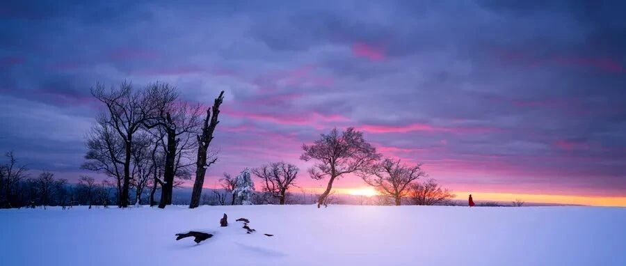 10张图，教你识别中枢性眩晕的隐藏原因