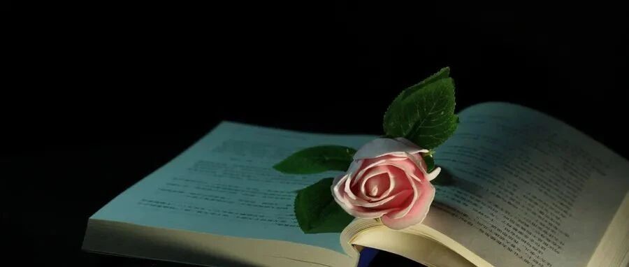 老年患者脊椎术后脑干出血致死，家属索赔100万，这次医方竟忽视了这个问题，赔大了