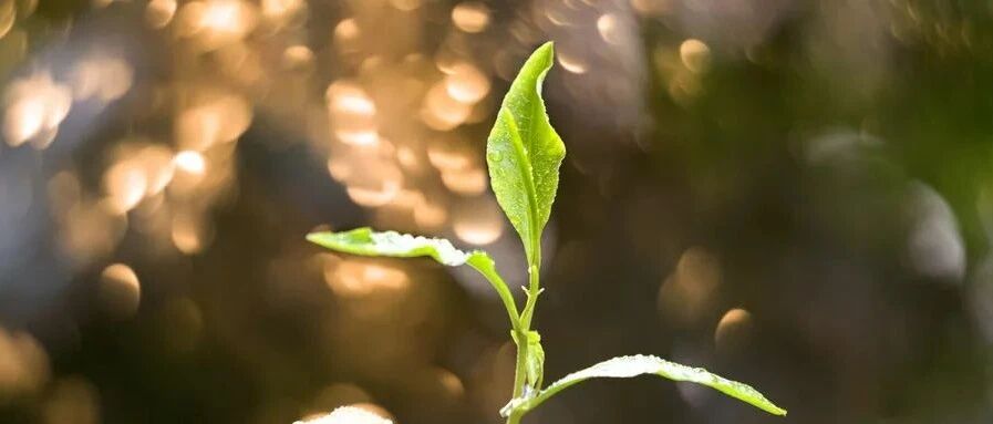 动不动就开CT、MRI，“过度”还是“必要”？