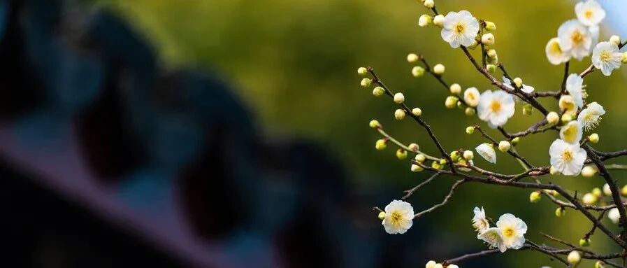 头痛患者刚出院就脑溢血， 医方因未请会诊被判担责30%后不服，但专家鉴定书无可挑剔