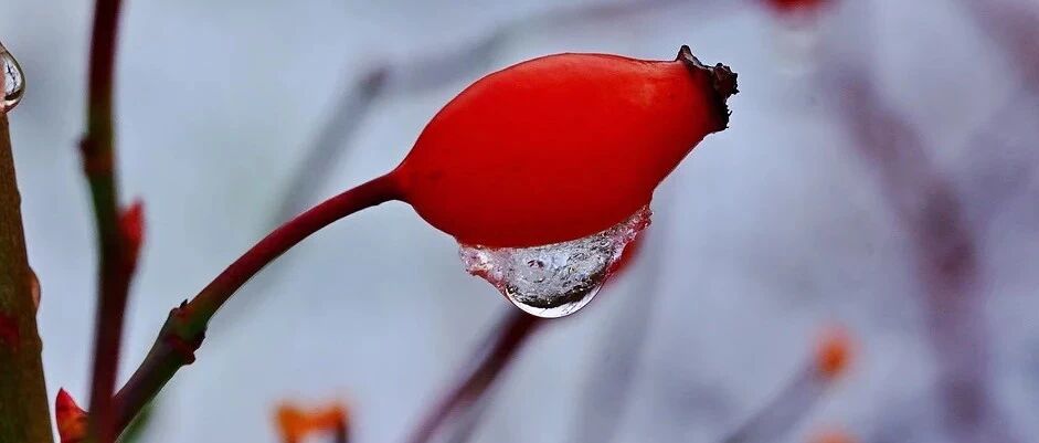 4个病例，全方位认识「一个半综合征」家族！丨温故知新