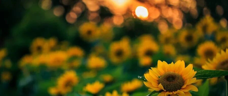 隐蔽性脑小血管病的管理，这些内容你都清楚吗？