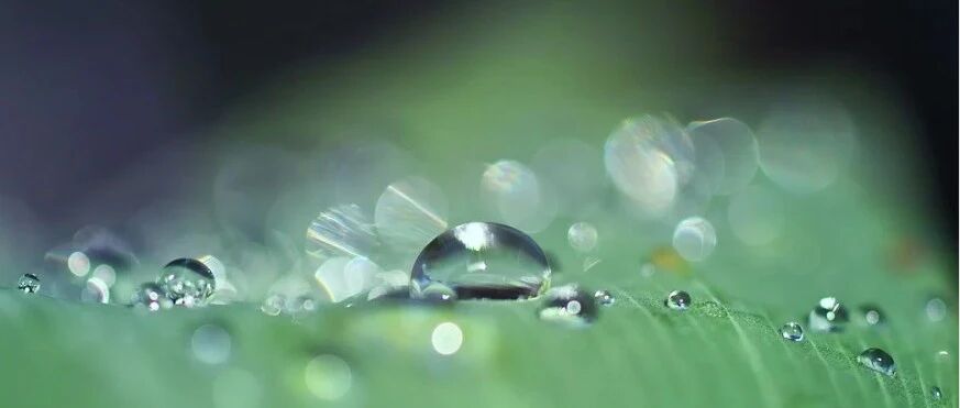 热带念珠菌性脑膜脑炎——这样的磁共振成像，你了解多少？