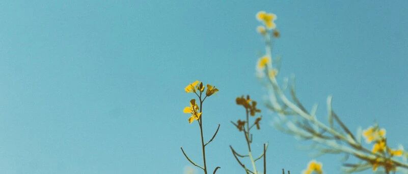 实战病例：遇到复杂共济失调，该如何诊断？丨临床推理